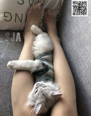 盖亚奥特曼普通话_BD英语超清免费观看