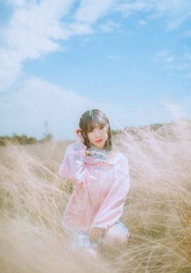 《独占我的英雄》_BD英语在线播放观看